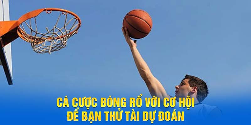 Cá cược bóng rổ với cơ hội để bạn thử tài dự đoán