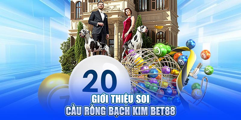 Giới thiệu soi cầu rồng bạch kim