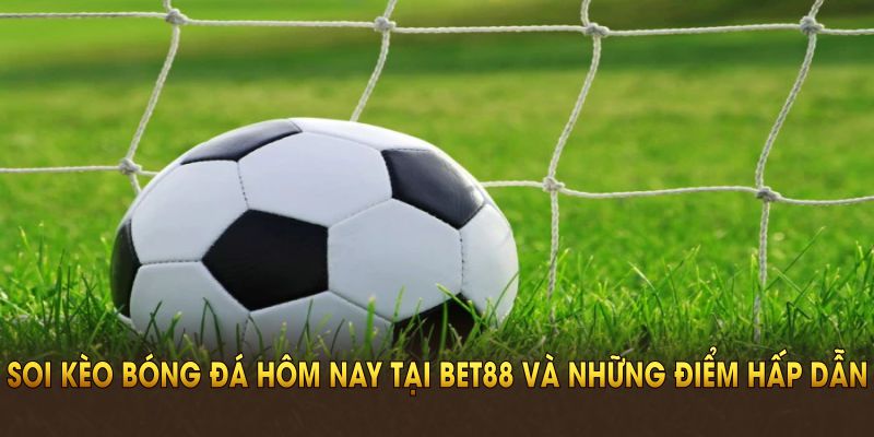 Soi kèo hôm nay tại BET88 và những điểm hấp dẫn