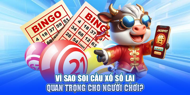 Vì sao soi cầu xổ số lại quan trọng cho người chơi?